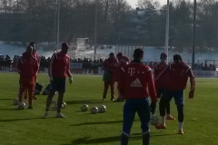 Bayern-Schalke_19